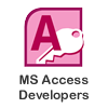 Microsoft Access Developers