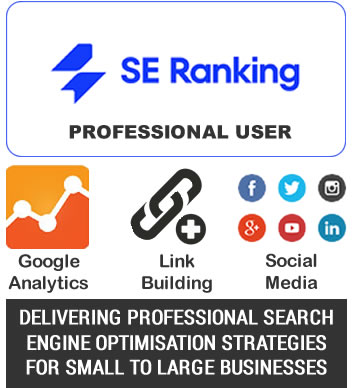 Professional SEO Services